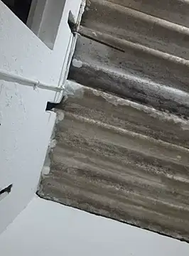 Snapshot of DAELAA chatting on 18, 2, 2025 DAELAA online show from 18, 2, 2025