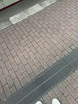 Lionayowe online show from 27, 9, 2025