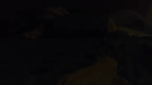 k-dong online show from 26, 4, 2026