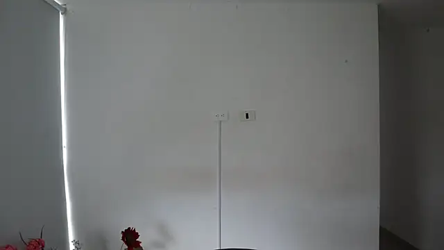 Snapshot of _Vahos_ chatting on 14, 2, 2025 Vahos online show from 14, 2, 2025