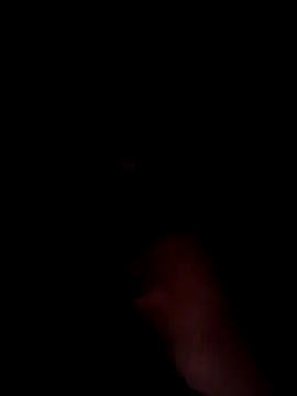 Latin summer online show from 8, 12, 2024