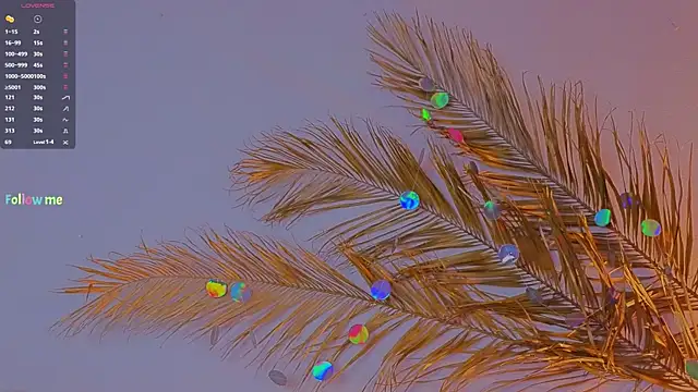 Snapshot of a11yson chatting on 6, 2, 2025 a11yson online show from 6, 2, 2025