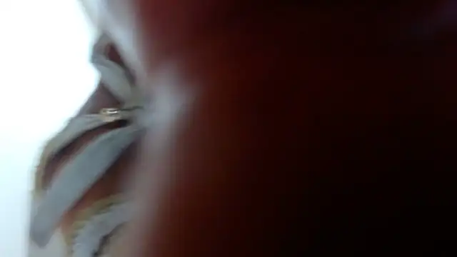 Ixchel Anaid online show from 14, 3, 2025