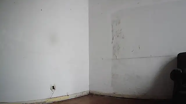 seoulsatxh online show from 8, 2, 2025