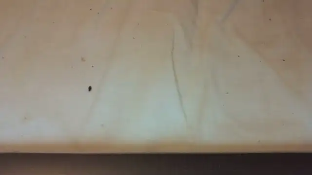 Helly97 online show from 23, 10, 2025