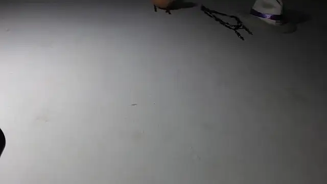 adrixxx38 online show from 17, 1, 2026