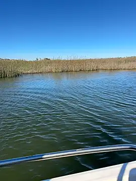 Goonwithoutclinching online show from 10, 1, 2026