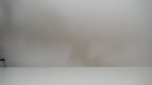 Snapshot of salomecastro_ chatting on 19, 11, 2025 salomecastro online show from 19, 11, 2025