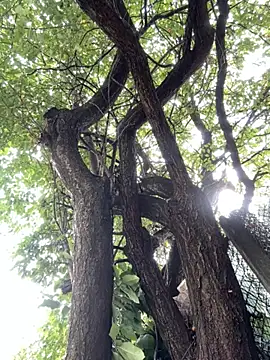 Snapshot of Night_dreams chatting on 20, 9, 2025 Night dreams online show from 20, 9, 2025