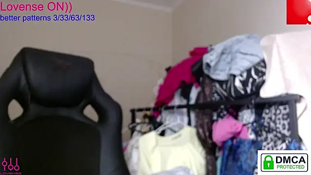 sweet cute cat online show from 6, 10, 2025