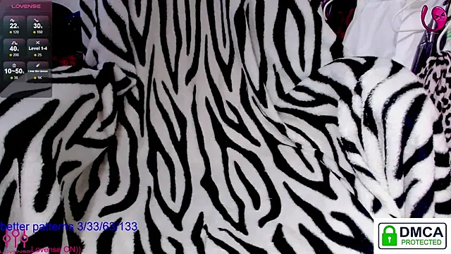sweet cute cat online show from 20, 6, 2026