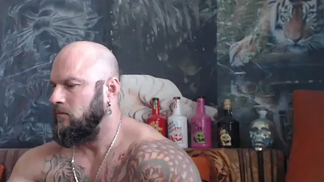 viking 30 online show from 1, 10, 2025