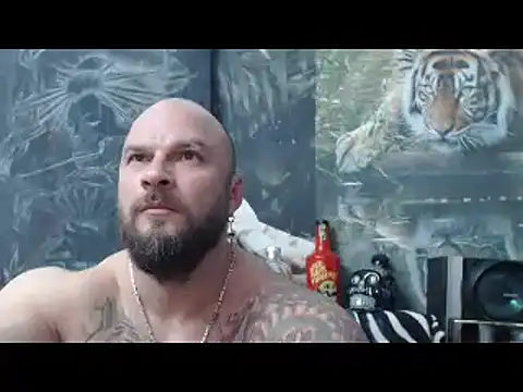 viking 30 online show from 13, 4, 2026