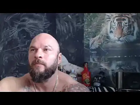 viking 30 online show from 22, 4, 2026