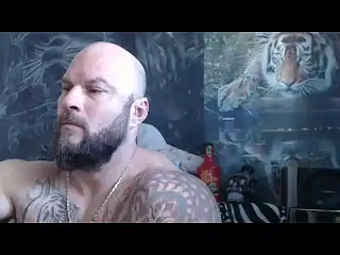 viking 30 online show from 23, 4, 2026