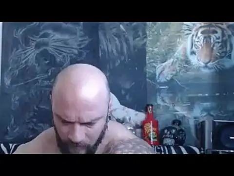 viking 30 online show from 26, 4, 2026