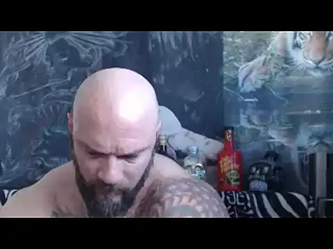 viking 30 online show from 28, 4, 2026