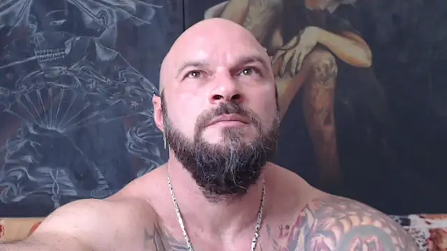 viking 30 online show from 24, 7, 2026