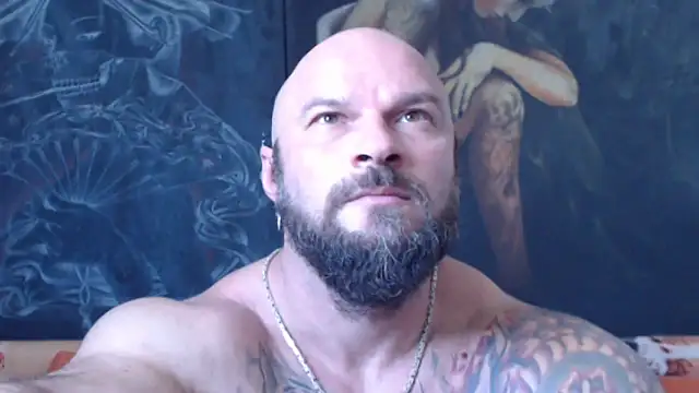 viking 30 online show from 28, 7, 2026