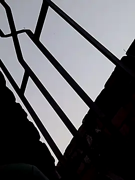 Shahidraza123465  online show from 18, 11, 2025