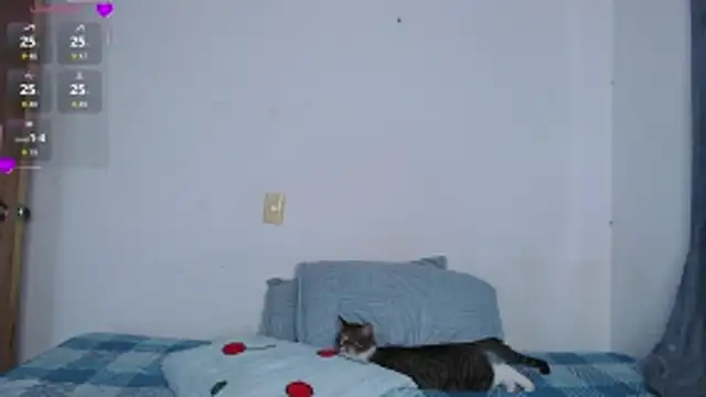 valen thompson online show from 1, 3, 2026