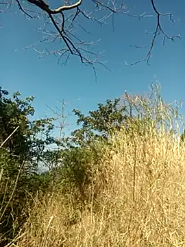 Snapshot of SunnyleoneBG chatting on 6, 2, 2025 SunnyleoneBG online show from 6, 2, 2025