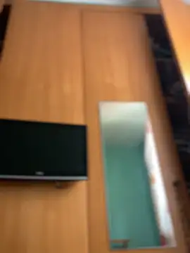 camelia3 online show from 5, 3, 2026