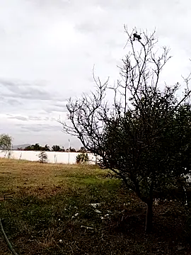 Snapshot of Chacal_Armyy chatting on 9, 3, 2026 Chacal Armyy online show from 9, 3, 2026