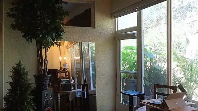 eliberator1777 online show from 14, 2, 2025