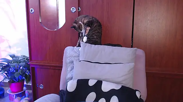 Raventh  online show from 13, 2, 2026