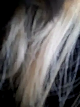 Dirtyfeelin online show from 14, 12, 2025