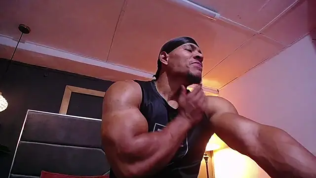 teddyfit19cm online show from 24, 4, 2026