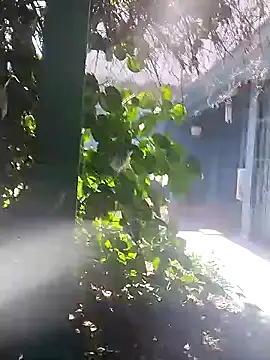 sofy alone online show from 2, 1, 2025