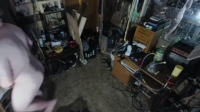 sex4fun 21 online show from 12, 3, 2025