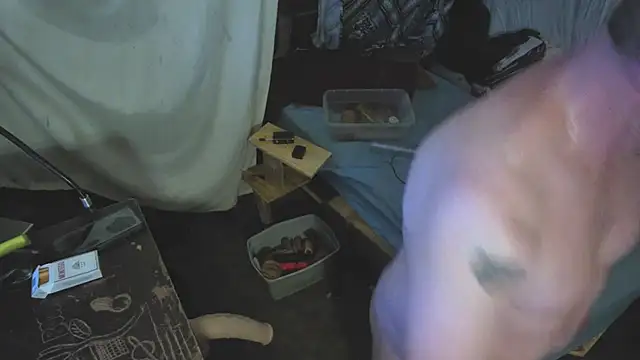 sex4fun 21 online show from 9, 7, 2026