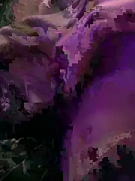 Snapshot of K100x chatting on 4, 12, 2025 K100x online show from 4, 12, 2025