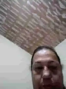 catdool online show from 8, 2, 2025