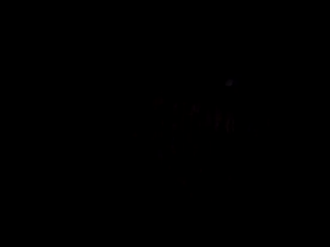 catdool online show from 14, 2, 2025