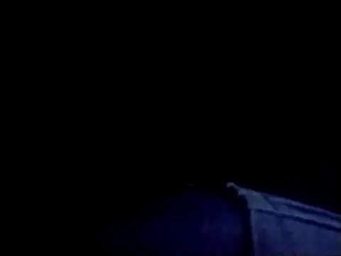 catdool online show from 12, 3, 2025