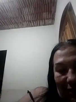 catdool online show from 6, 10, 2025