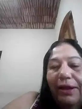 catdool online show from 8, 11, 2025