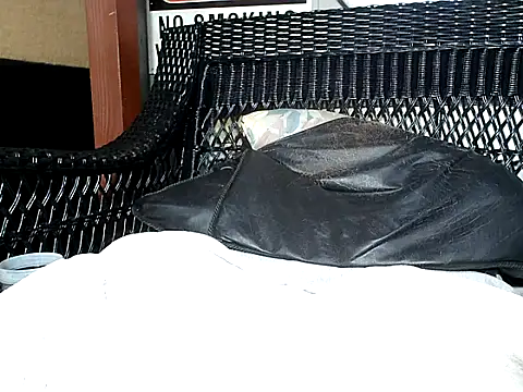 HungHawaiian808xh online show from 16, 12, 2024