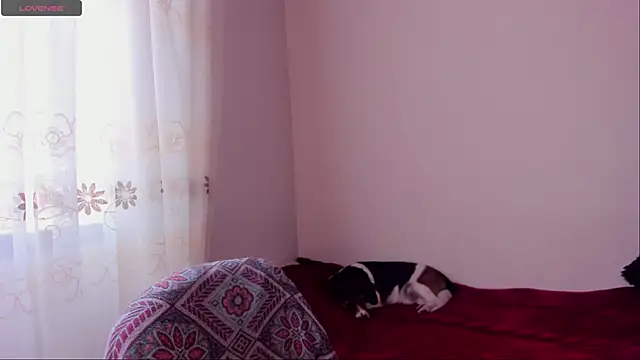 aluna 0310 online show from 20, 12, 2024