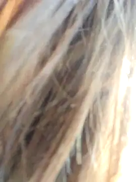 TassiTyne online show from 4, 11, 2025