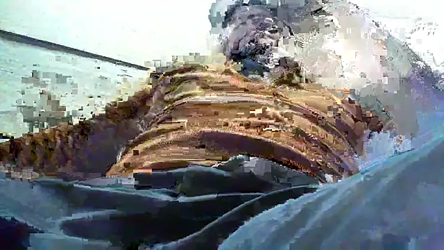 Billywax online show from 8, 1, 2026