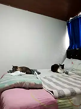 Vicky Rosse online show from 1, 11, 2025