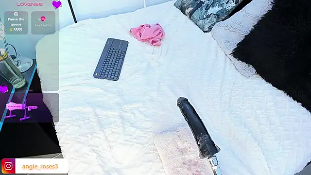 angiee roses online show from 17, 12, 2024