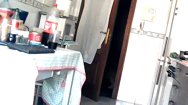 bixesualactivo online show from 23, 3, 2026