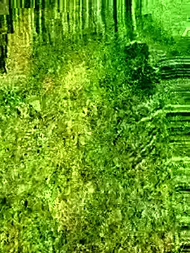 FinableKnee online show from 26, 3, 2026