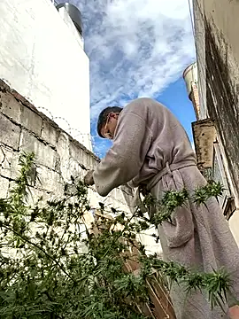 Alicbranca online show from 25, 4, 2026